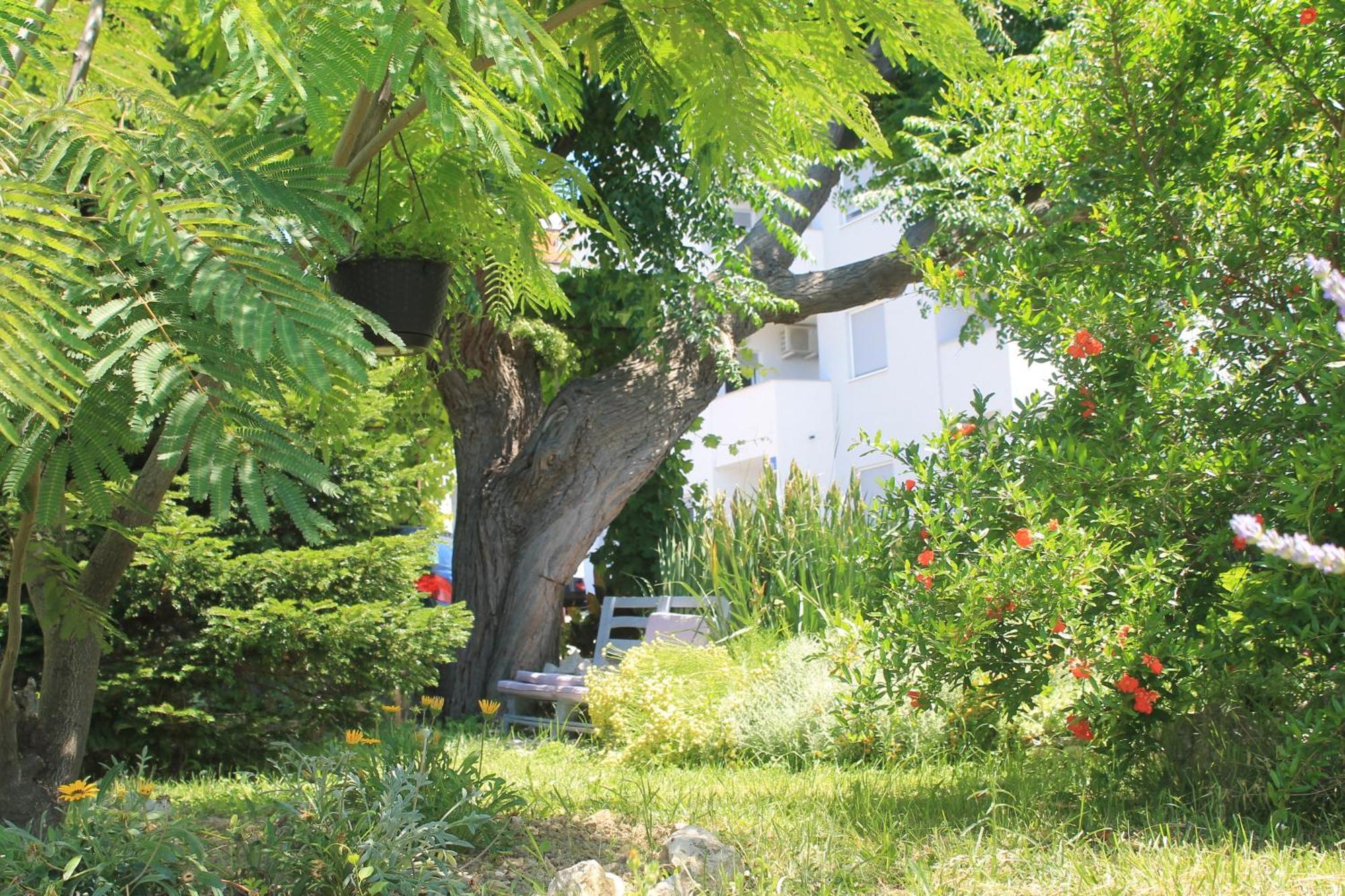 501 - Spacious And Bright On Island Of Rab * Rab Town
