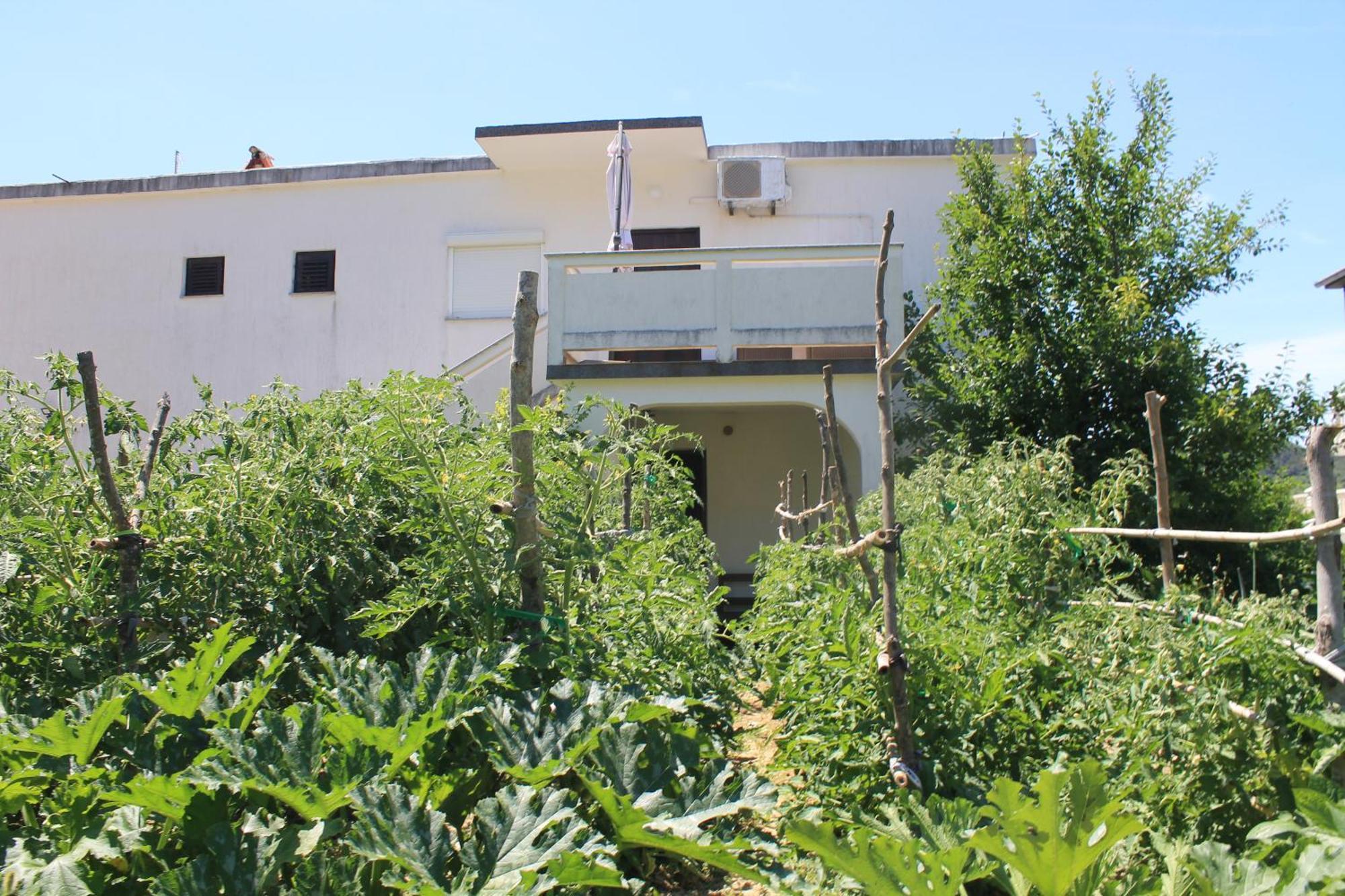 501 - Spacious And Bright On Island Of Rab Apartment Rab Town