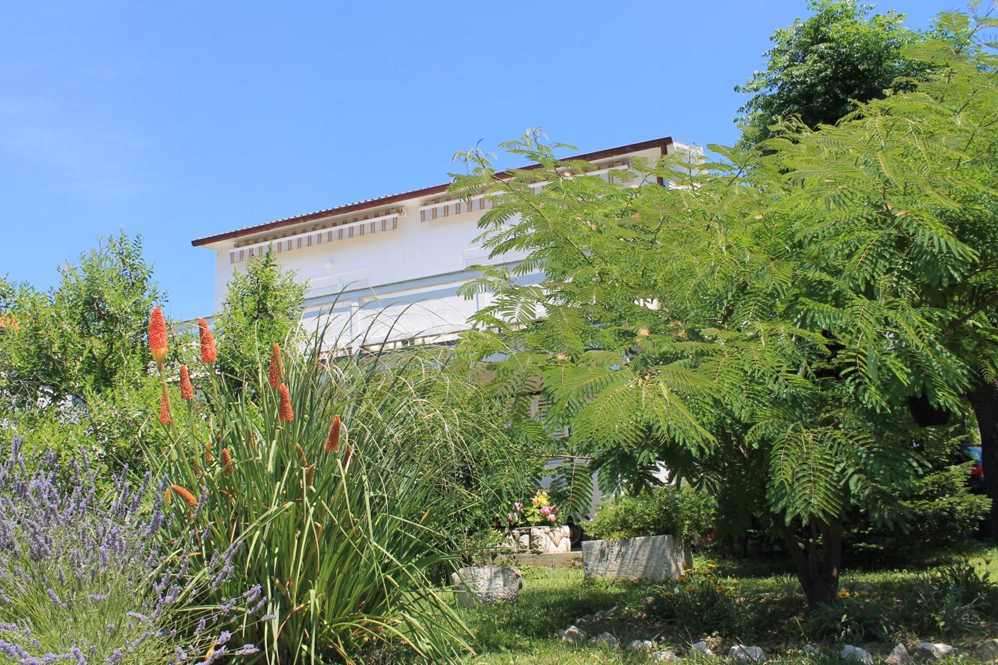 501 - Spacious And Bright On Island Of Rab *
