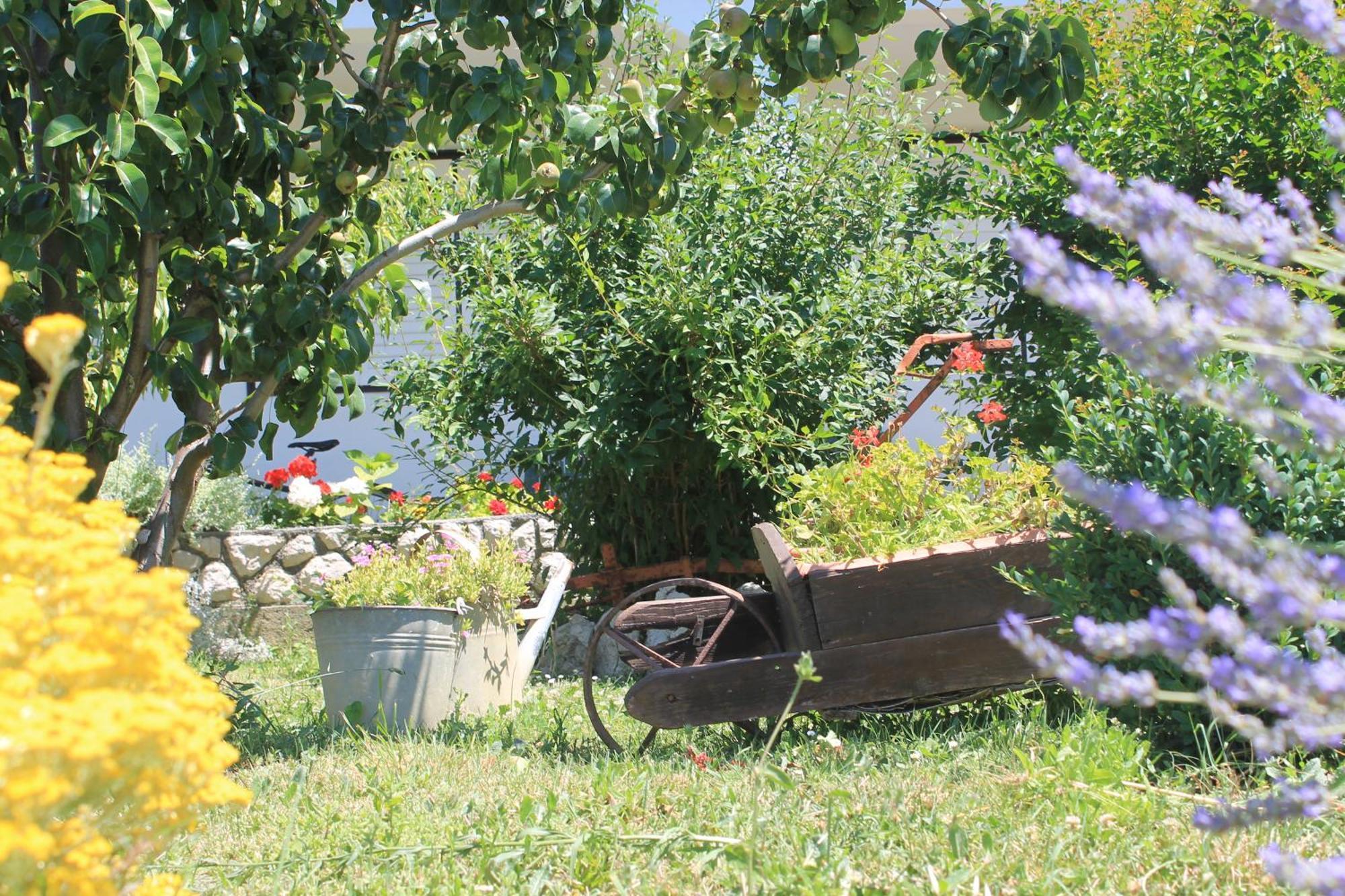 501 - Spacious And Bright On Island Of Rab