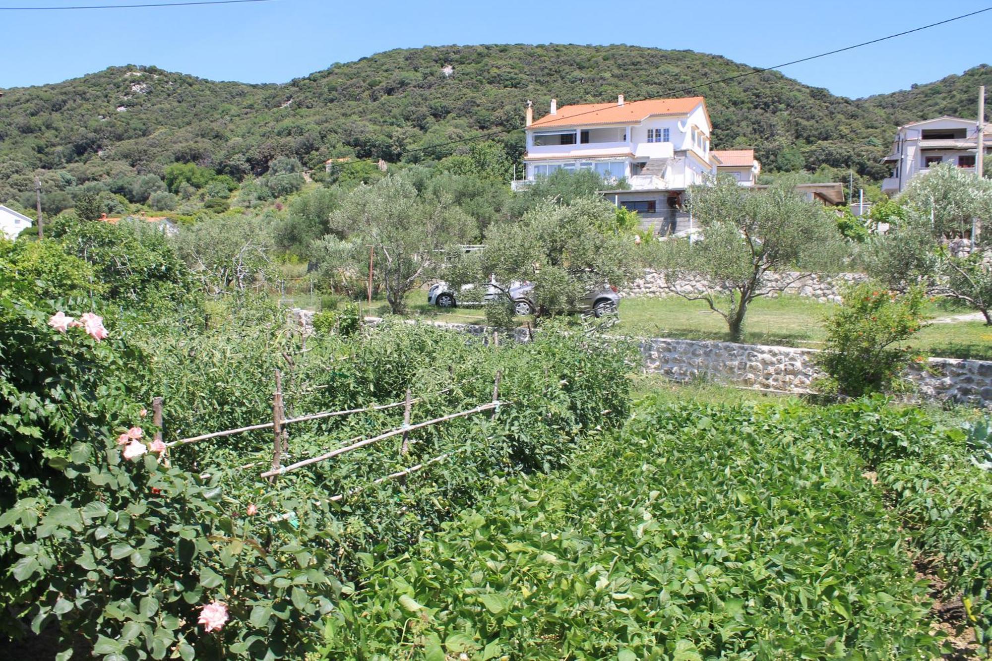 501 - Spacious And Bright On Island Of Rab Apartment