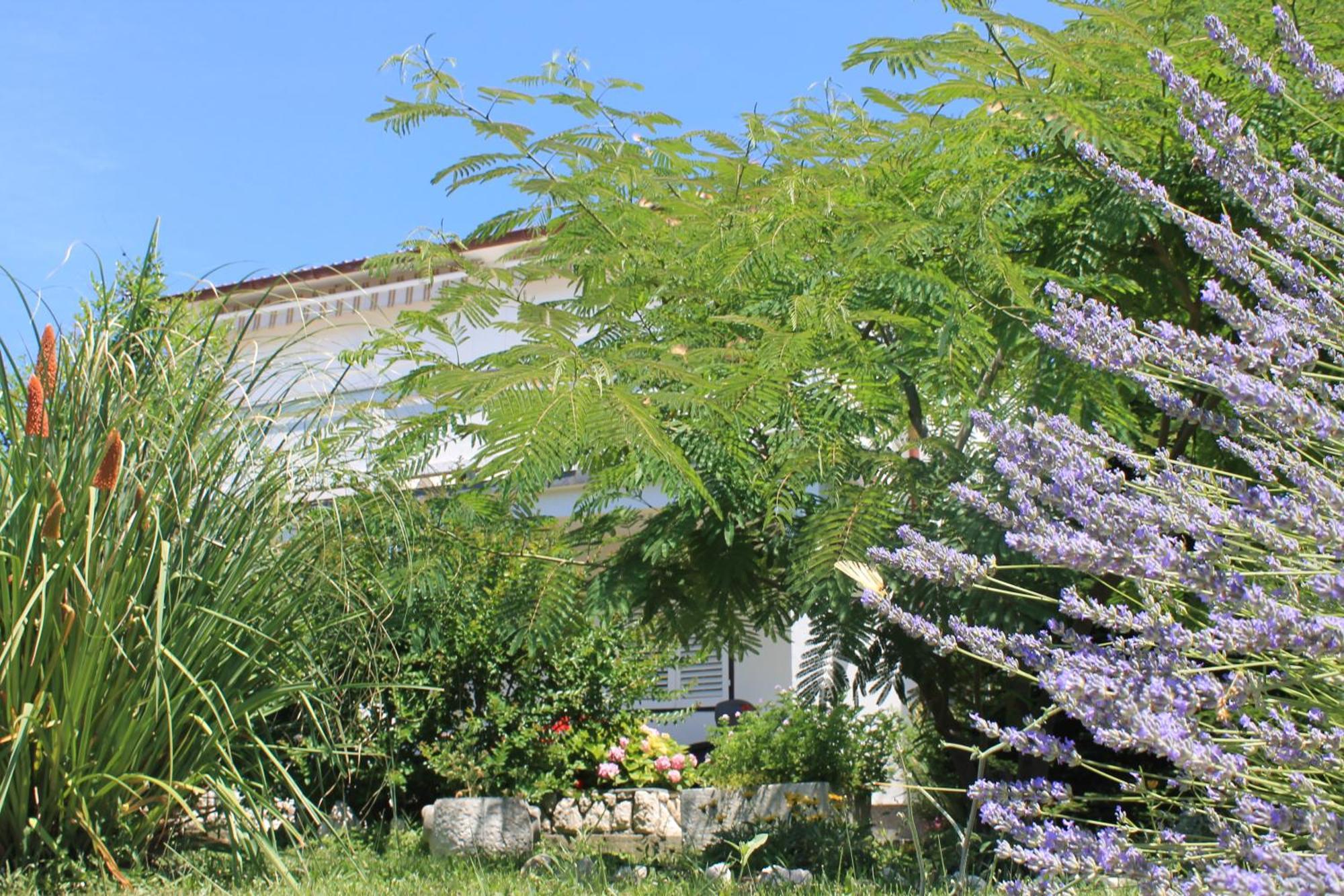501 - Spacious And Bright On Island Of Rab *