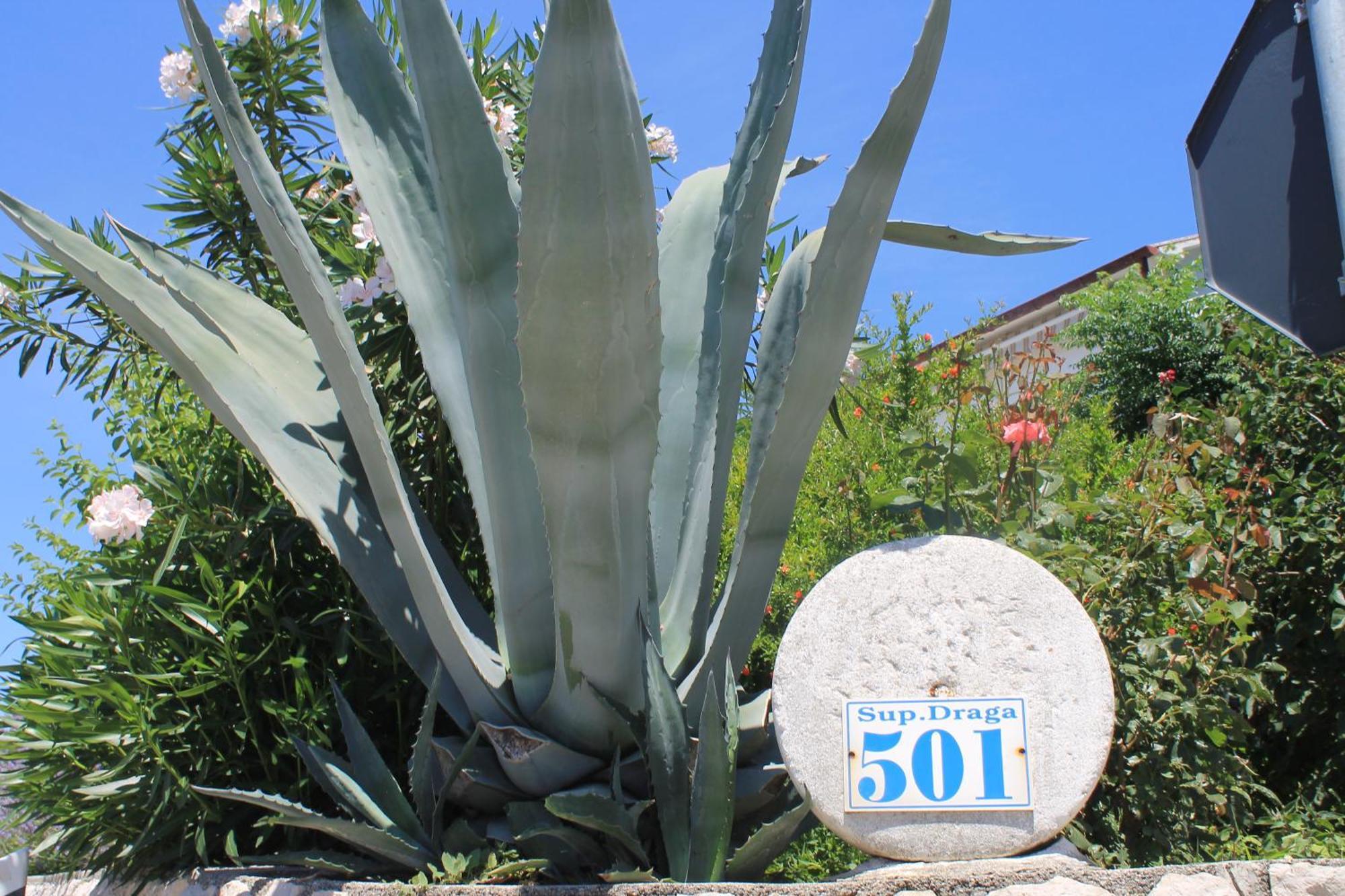 501 - Spacious And Bright On Island Of Rab Apartment *