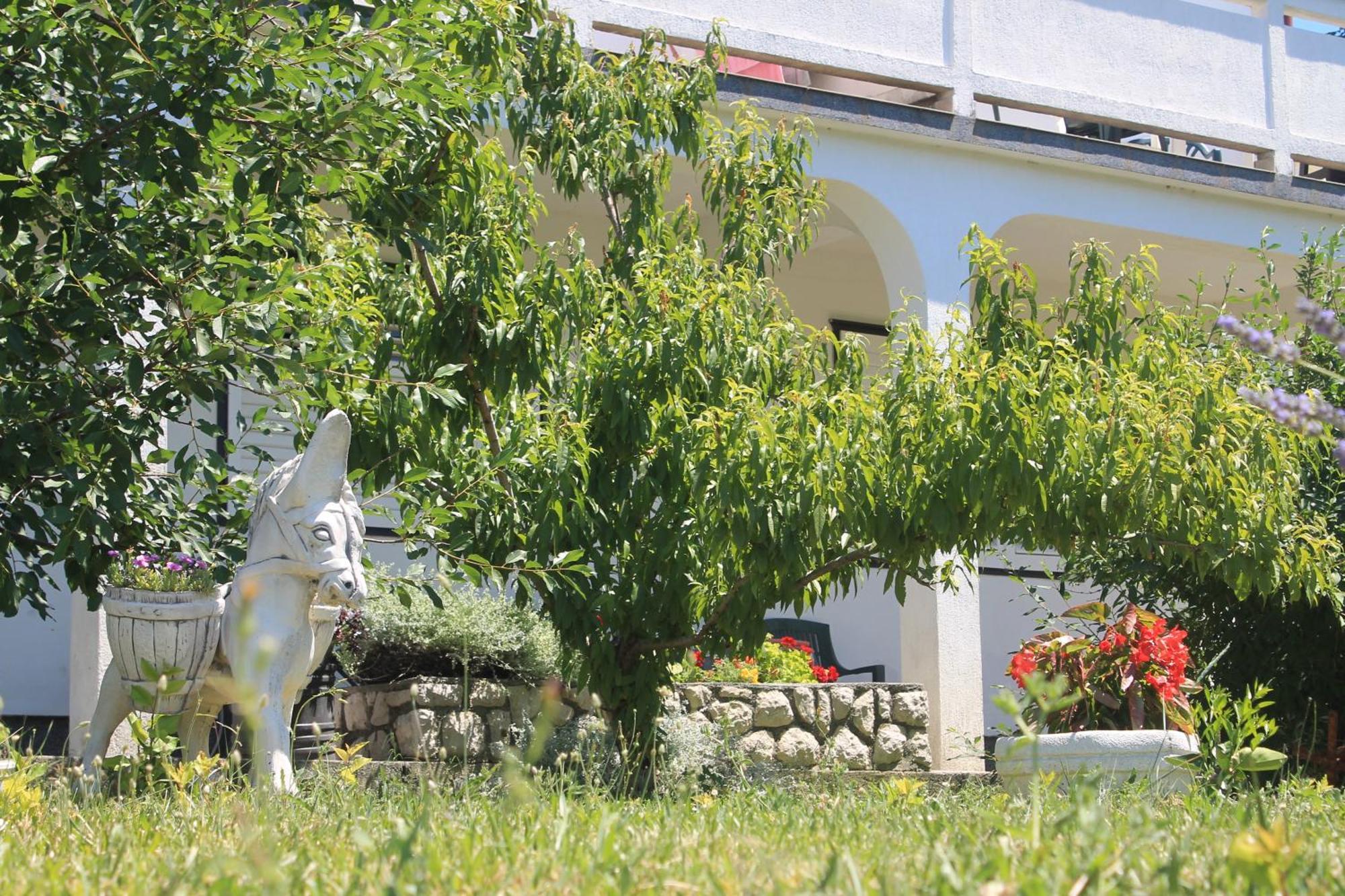 Apartment 501 - Spacious And Bright On Island Of Rab
