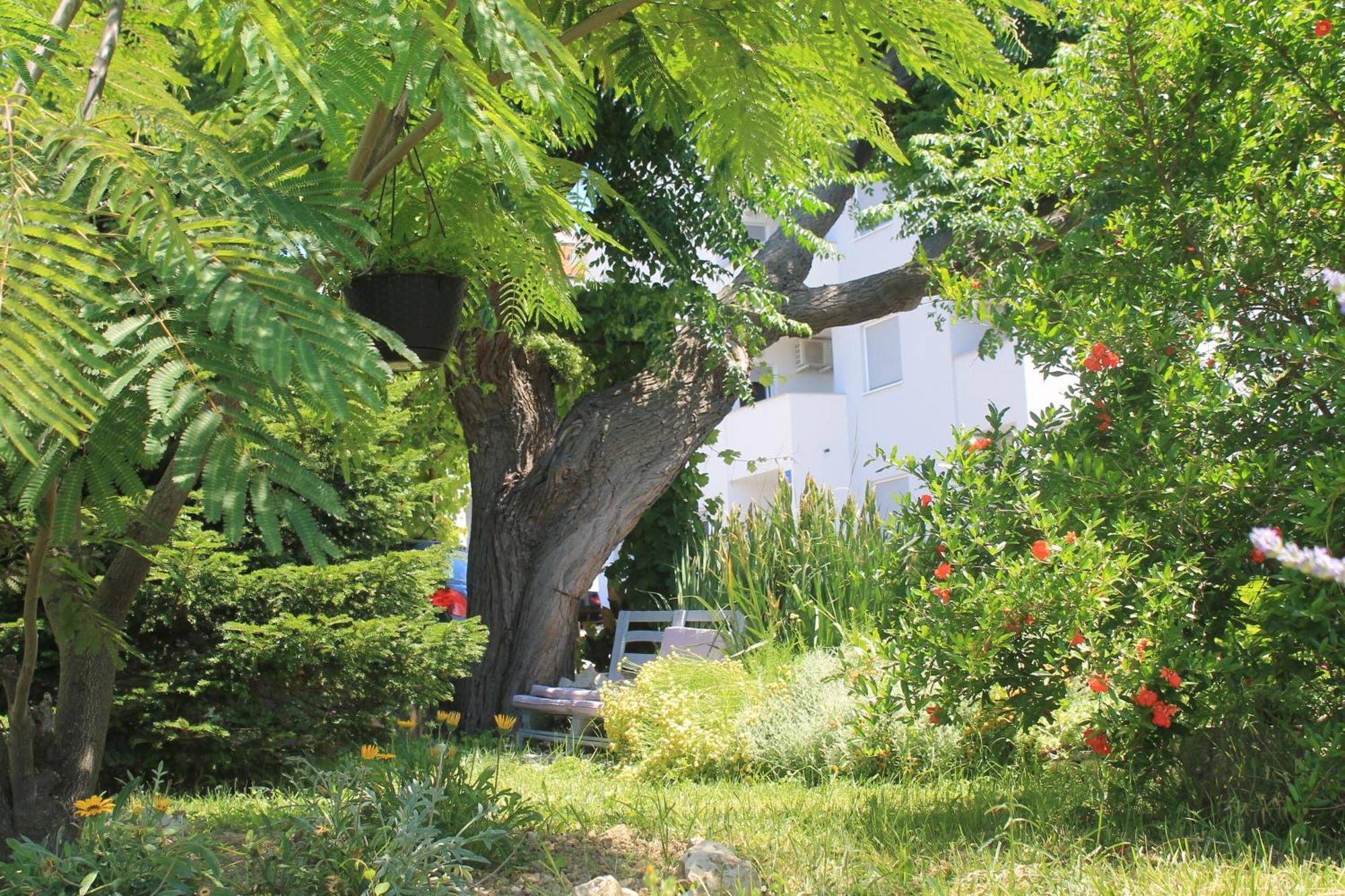 Apartment 501 - Spacious And Bright On Island Of Rab *