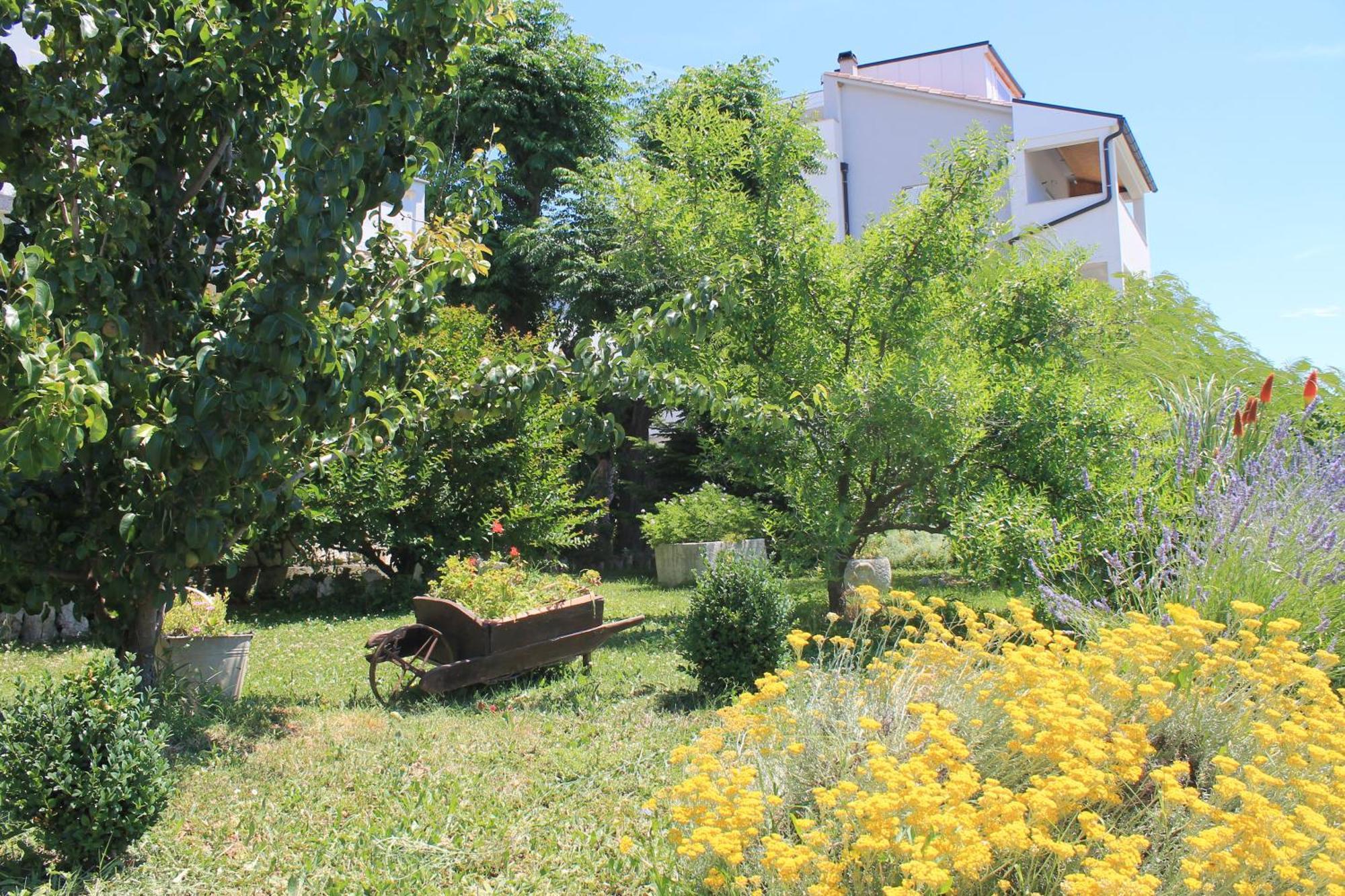 501 - Spacious And Bright On Island Of Rab